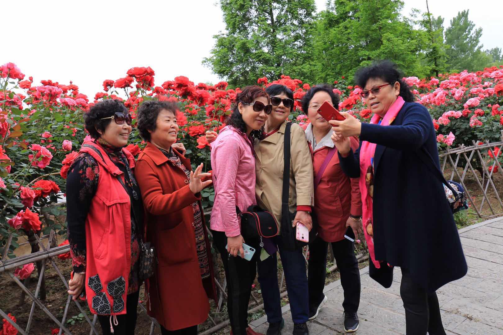 古天乐代言太阳集团城